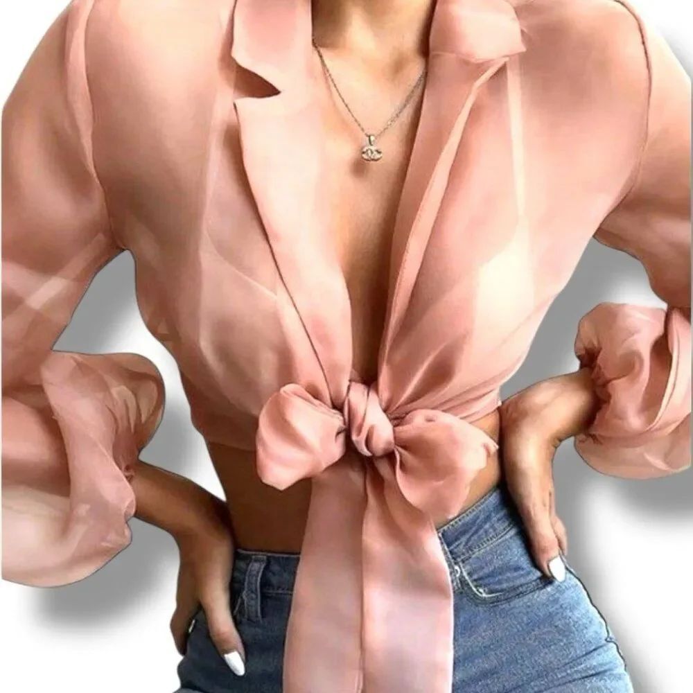 Boohoo Crop Top Sheer Blouse
